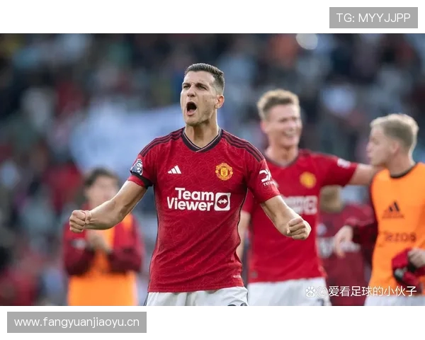 曼联伤情更新:库尼亚达洛特复出在即 芒特归期未定 曼联伤情更新:库尼亚达洛特复出在即 芒特归期未定